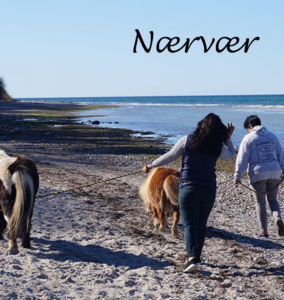 NÆRVÆR pic Nærvær hos Kvistholm Mor og Barn hjem - familiehjem